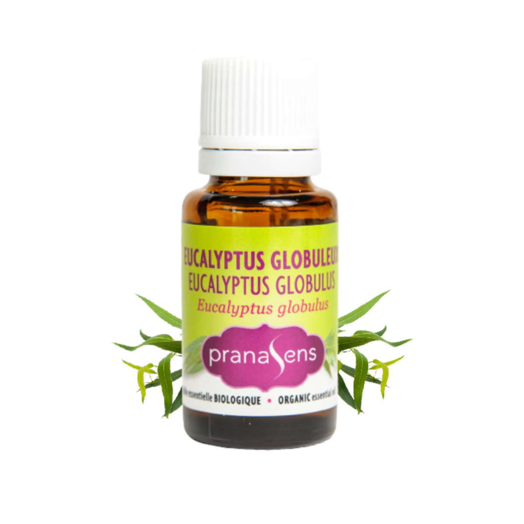 Huile essentielle biologique Eucalyptus globuleux - Pranasens